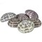 Sea Urchin 6 Alphonse Sea Urchin Shells 2.5"-3" for Craft and Decor